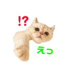 諭吉と佐助のすたんぷ（個別スタンプ：7）