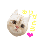 諭吉と佐助のすたんぷ（個別スタンプ：8）