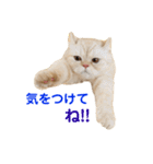 諭吉と佐助のすたんぷ（個別スタンプ：13）
