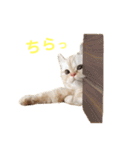 諭吉と佐助のすたんぷ（個別スタンプ：14）