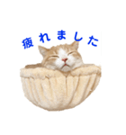 諭吉と佐助のすたんぷ（個別スタンプ：18）
