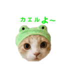 諭吉と佐助のすたんぷ（個別スタンプ：23）