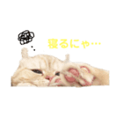 諭吉と佐助のすたんぷ（個別スタンプ：26）