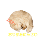 諭吉と佐助のすたんぷ（個別スタンプ：29）