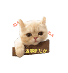 諭吉と佐助のすたんぷ（個別スタンプ：30）