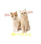 諭吉と佐助のすたんぷ（個別スタンプ：32）