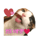 ふわぽよ*みぃちゃん（個別スタンプ：8）