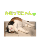 ふわぽよ*みぃちゃん（個別スタンプ：10）