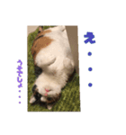 ふわぽよ*みぃちゃん（個別スタンプ：11）