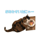 ふわぽよ*みぃちゃん（個別スタンプ：13）