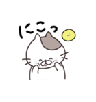 ぽちゃにゃん。毎日使えるスタンプ【日常】（個別スタンプ：10）
