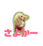 ペットのくうちゃん（個別スタンプ：4）