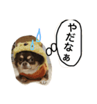 うちのかわいこ達（個別スタンプ：4）