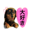 うちのかわいこ達（個別スタンプ：7）