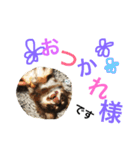 うちのかわいこ達（個別スタンプ：20）