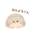 関西のペルシャ猫（個別スタンプ：1）