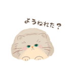 関西のペルシャ猫（個別スタンプ：2）