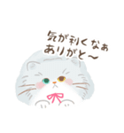 関西のペルシャ猫（個別スタンプ：3）