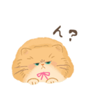 関西のペルシャ猫（個別スタンプ：5）