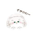 関西のペルシャ猫（個別スタンプ：8）