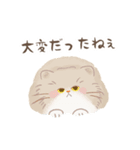 関西のペルシャ猫（個別スタンプ：12）