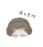 関西のペルシャ猫（個別スタンプ：13）
