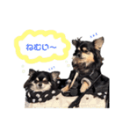 チワワ＆プードル（個別スタンプ：3）