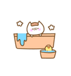 ねこのしろスタンプ（個別スタンプ：36）