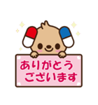下川薬局 公式キャラクターのシモカワン（個別スタンプ：5）