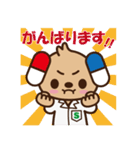 下川薬局 公式キャラクターのシモカワン（個別スタンプ：7）