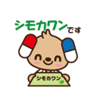 下川薬局 公式キャラクターのシモカワン（個別スタンプ：24）