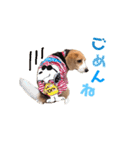 ビーグル犬BECK④（個別スタンプ：20）