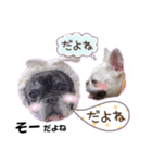 フレブル☆福たんですけど？全肯定ver（個別スタンプ：1）