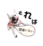 フレブル☆福たんですけど？全肯定ver（個別スタンプ：4）