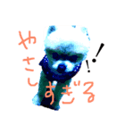 やさしさのかたまり（個別スタンプ：1）