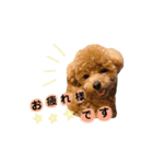 ゆずくんスタンプ_1（個別スタンプ：9）