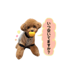 ゆずくんスタンプ_1（個別スタンプ：15）