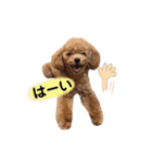 ゆずくんスタンプ_1（個別スタンプ：22）