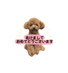 ゆずくんスタンプ_1（個別スタンプ：40）