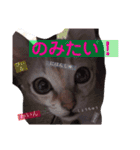 gege スタンプ02（個別スタンプ：1）