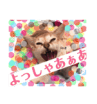 gege スタンプ02（個別スタンプ：3）