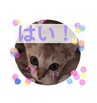 gege スタンプ02（個別スタンプ：4）