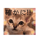 gege スタンプ02（個別スタンプ：8）