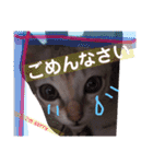 gege スタンプ02（個別スタンプ：11）
