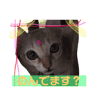 gege スタンプ02（個別スタンプ：12）