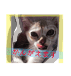gege スタンプ02（個別スタンプ：13）