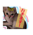 gege スタンプ02（個別スタンプ：20）