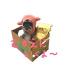 犬のいる暮らしシュナイヴ Ⅰ（個別スタンプ：3）