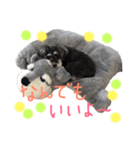 犬のいる暮らしシュナイヴ Ⅰ（個別スタンプ：7）