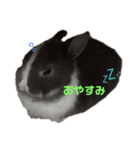 みみとむむのきもち（個別スタンプ：6）